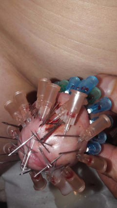 brutal pain cbt insertion bdsm - N