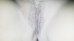 I want you to fuck me - N