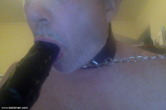 First timer wants to suck cock - N
