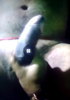 My desi indian wife sex messege big cock 2 - N