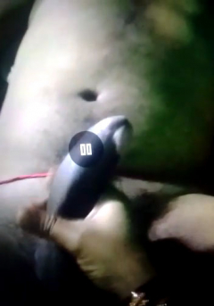 My desi indian wife sex messege big cock 4 - N