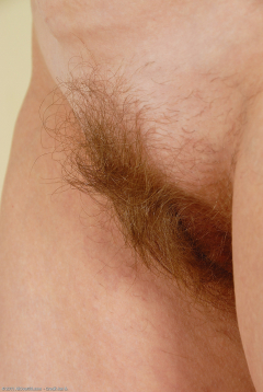 Hillary hairy - N