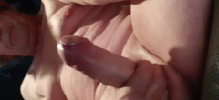 SPRING TIME COMING...... DICK WANTS TO BREED... - N