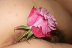 My Flower. ( Sarahporn69 ) - N