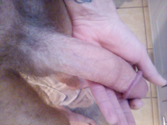 Horny need to cum - N