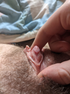 is my pussy crazy - N