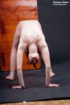 Les Femmes Flexible - N
