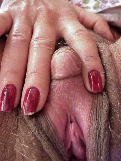 Clit Panorama - N