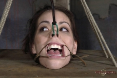 Mouth Lord - N