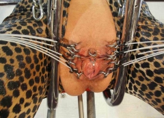 Pussy Decoration - N