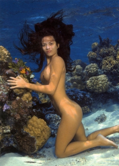 Underwater Nimph II - N