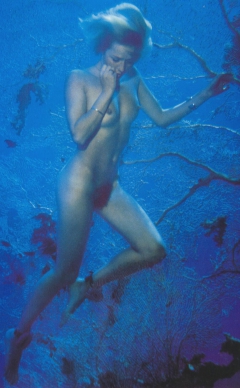 Underwater Nimph II - N