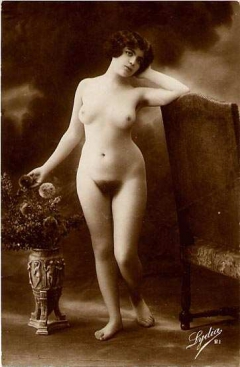 Antique Solo Chicks - N