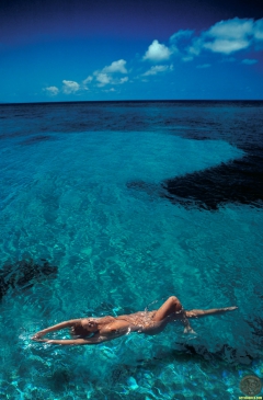 Sea Babe 5 - N