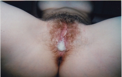 Dr-My Pussy Feels The Cum 11 - N