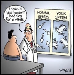 Funny And Hot Drawings 3 - N