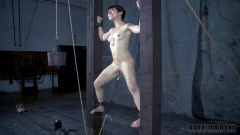 Rud's Pussy Solvation 2 - N