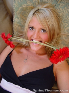 Red Flower - N