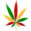 hashassin`s avatar