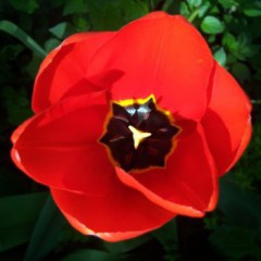 largedick1807`s avatar