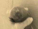 homemade gloryhole handjob with big cumshot