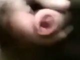 Old man wanking his uncut cock outside