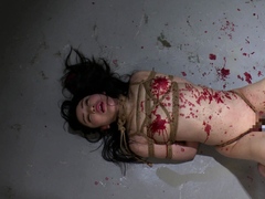 asian-japanese-bustygirl-bdsm